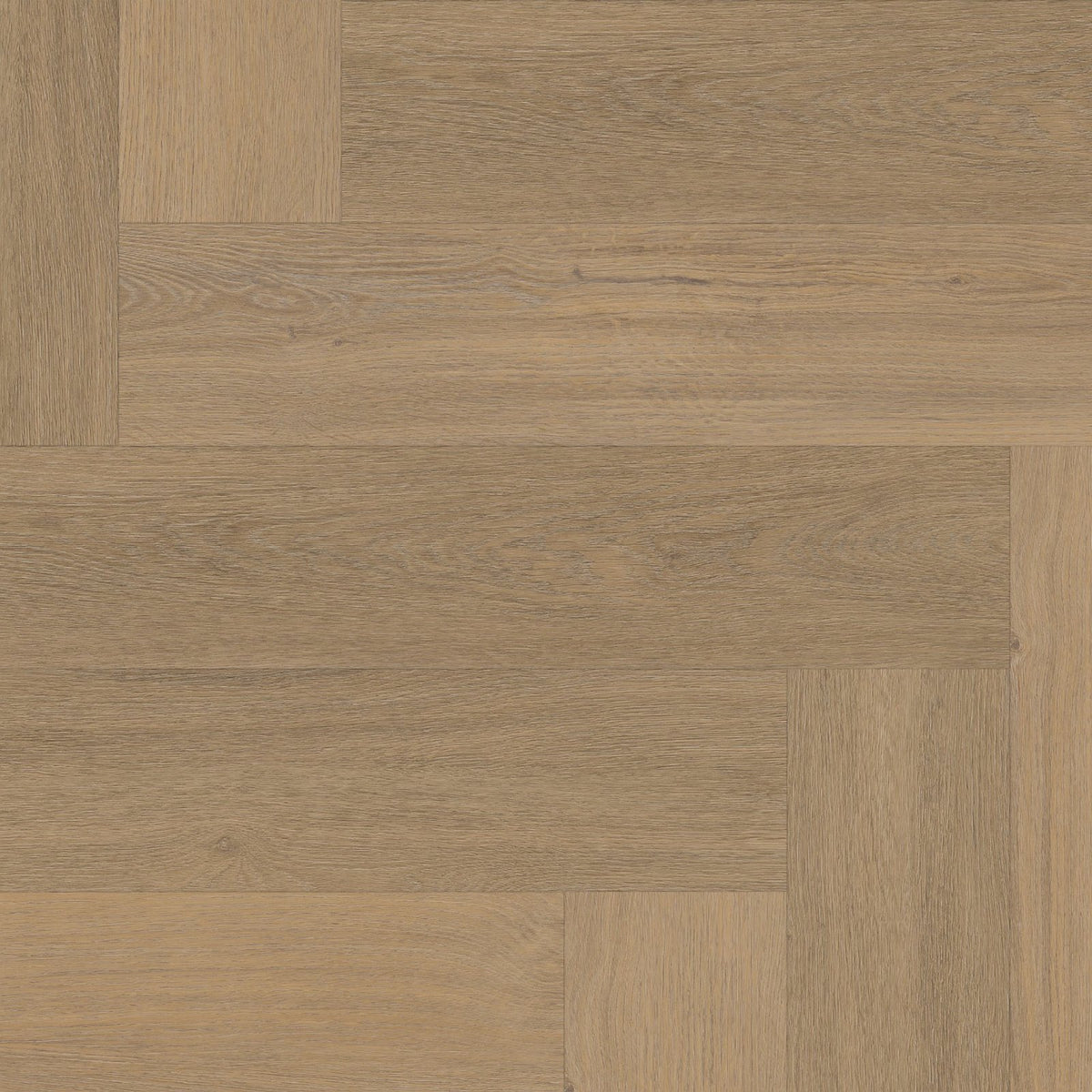 Spigato Viranto visgraat dryback warm natural