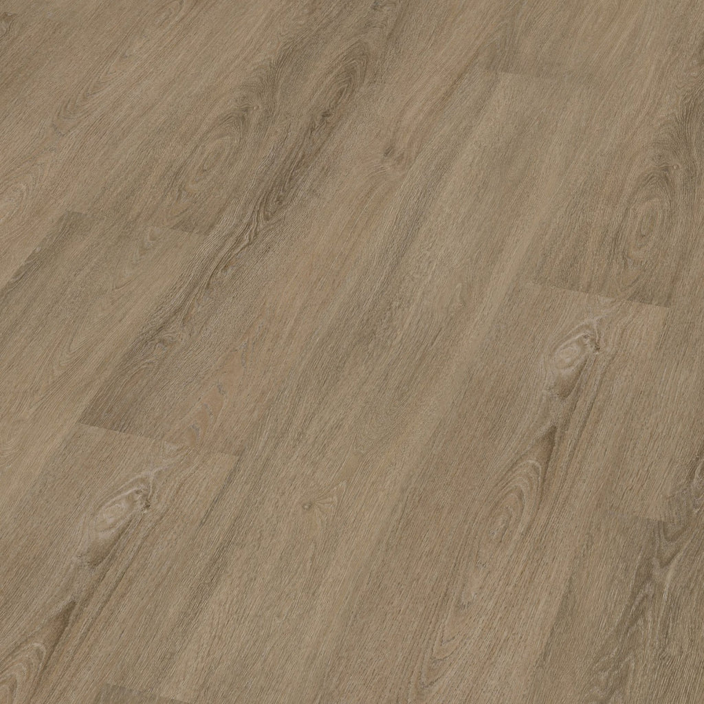 Viranto dryback smoky 3D