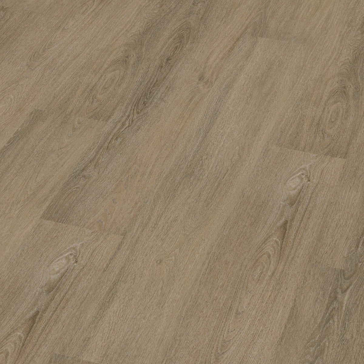Viranto dryback smoky 3D
