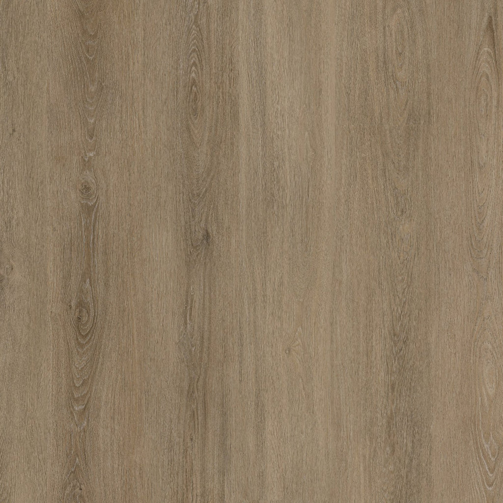 Viranto dryback smoky
