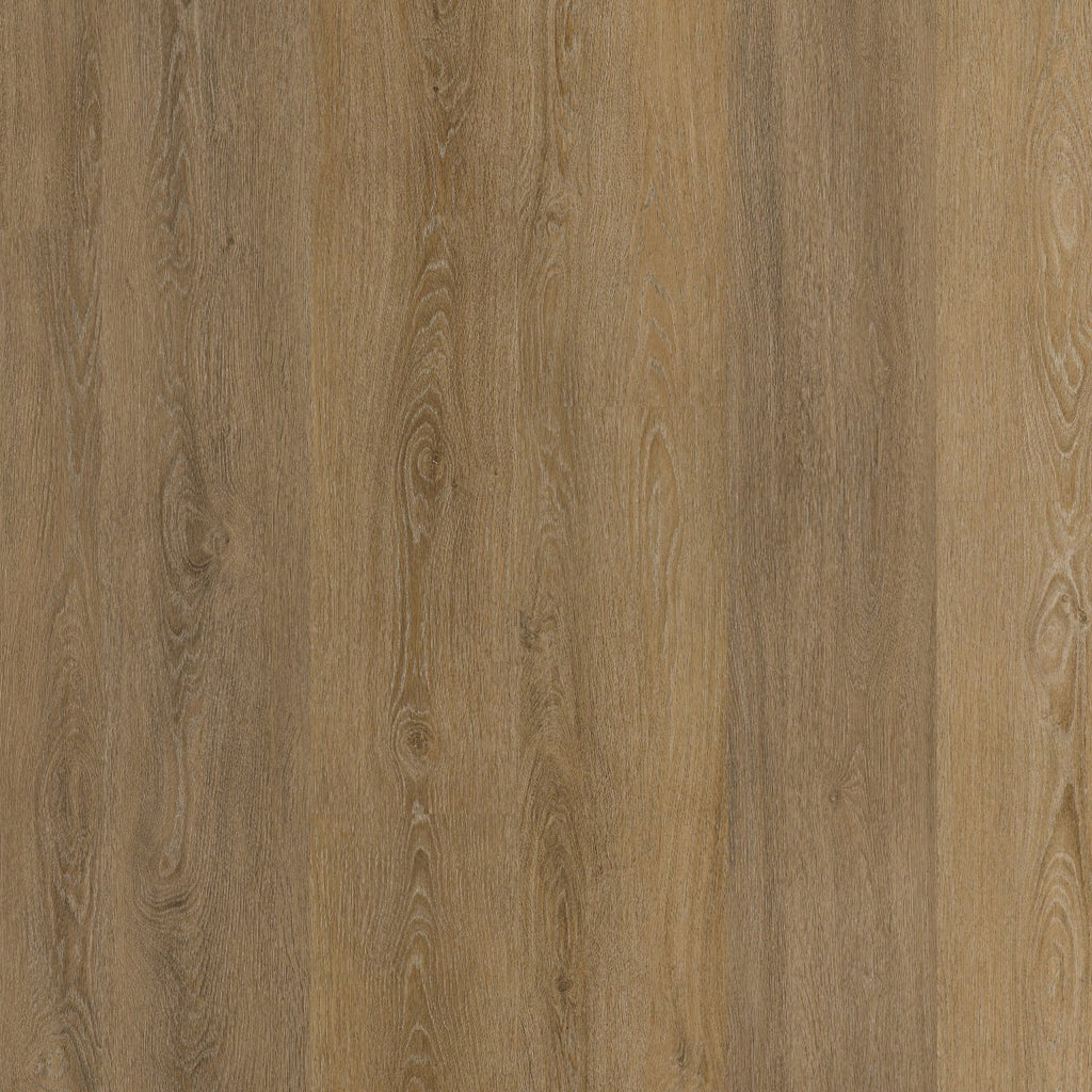Viranto dryback light brown