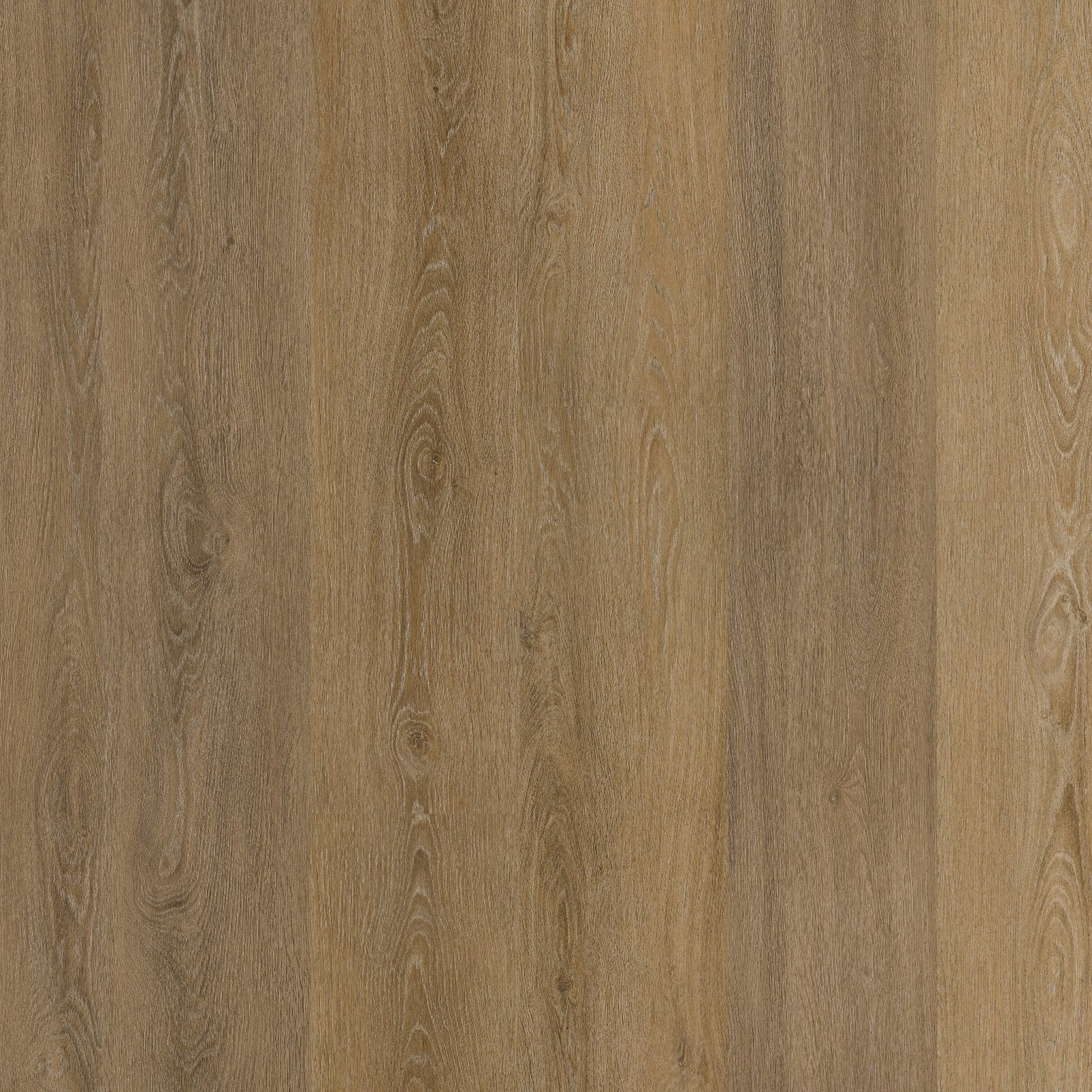 Viranto dryback light brown