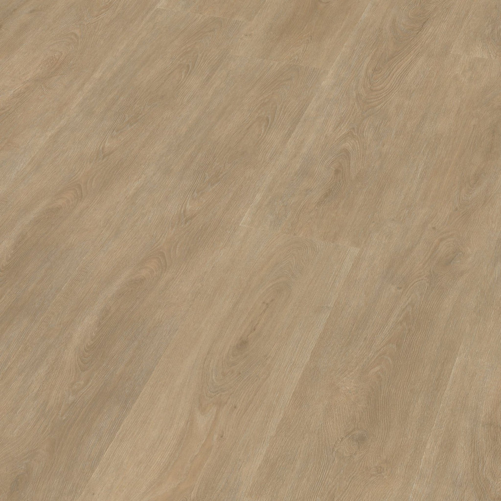 Robusto dryback naturel 3D