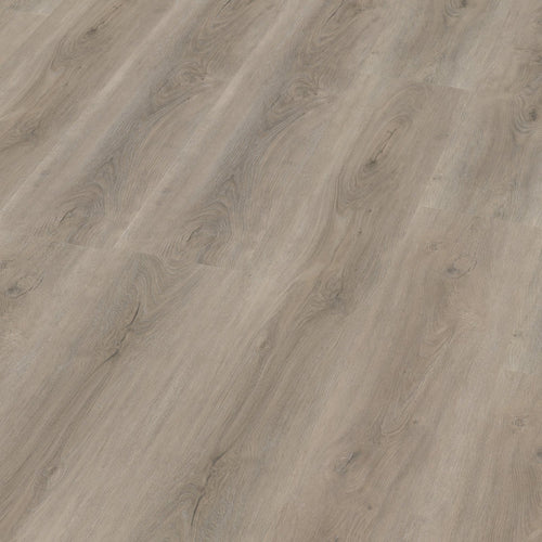 Robusto dryback light grey 3D