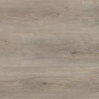 Robusto dryback light grey