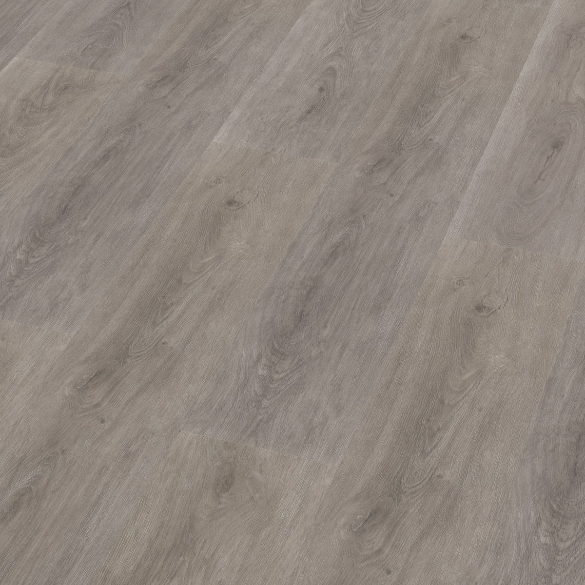 Robusto dryback grey oak 3D