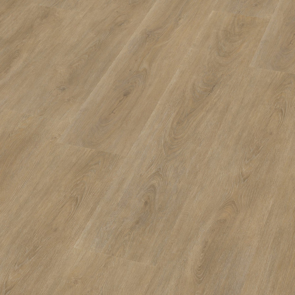 Robusto dryback natural oak 3D