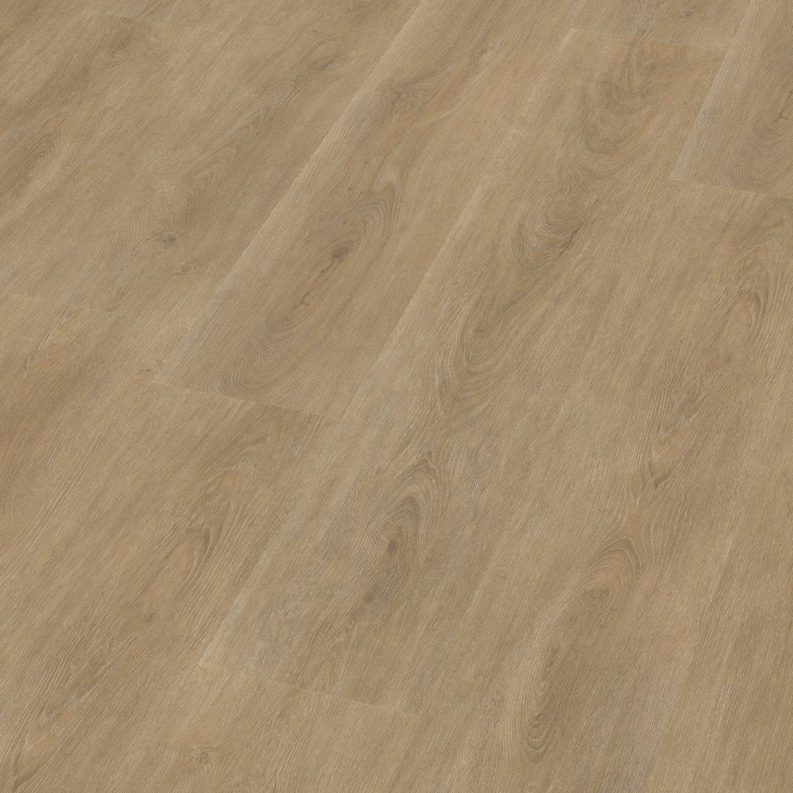 Robusto dryback natural oak 3D