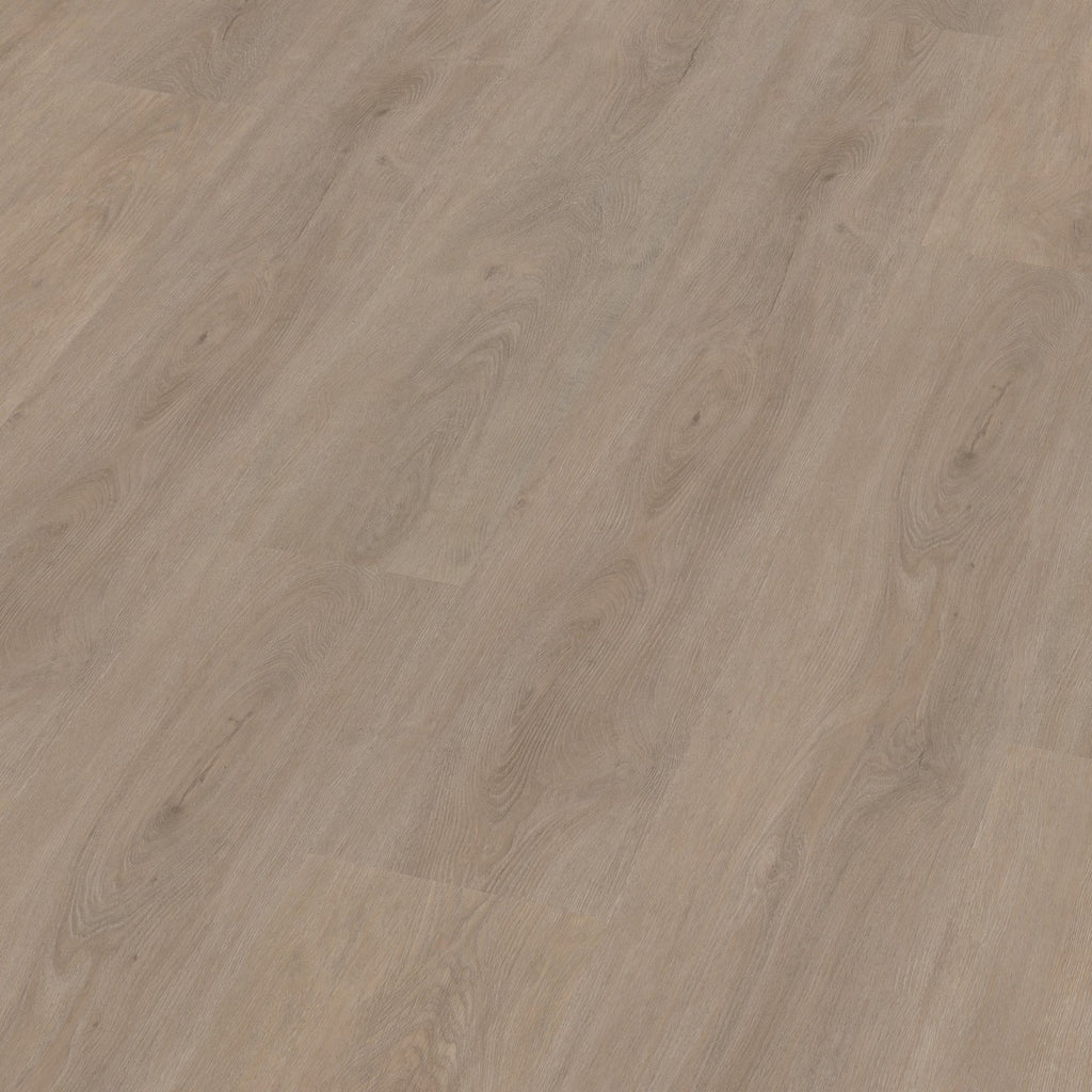 Robusto dryback light oak 3D