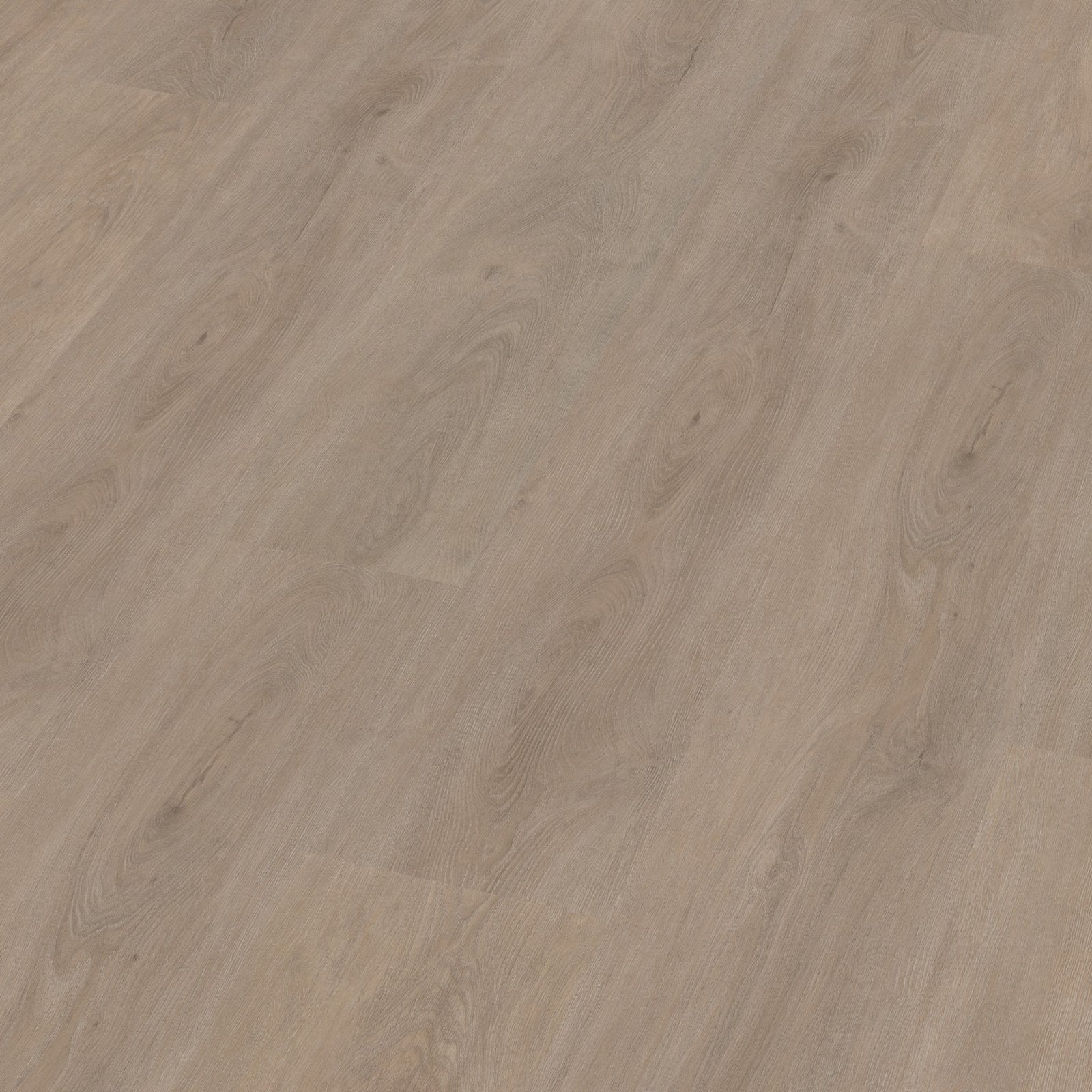 Robusto dryback light oak 3D