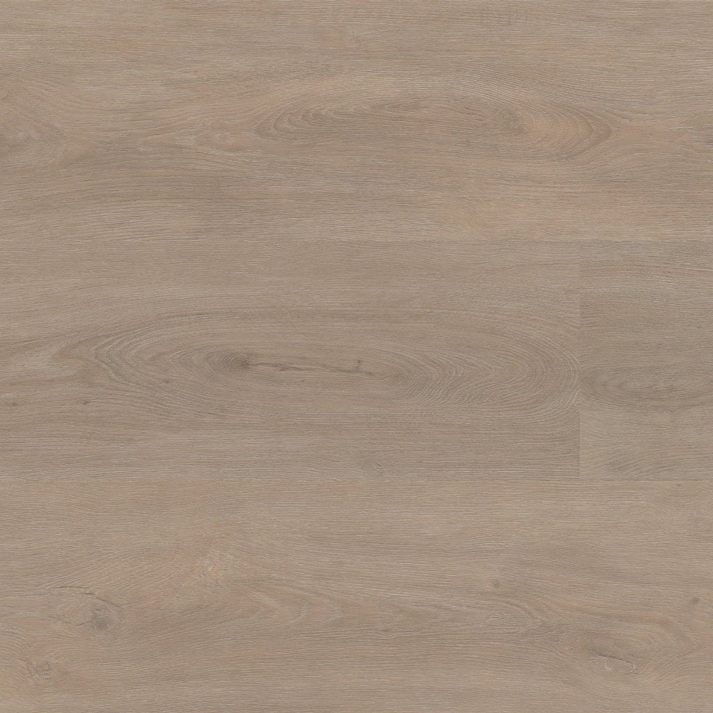 Robusto dryback light oak