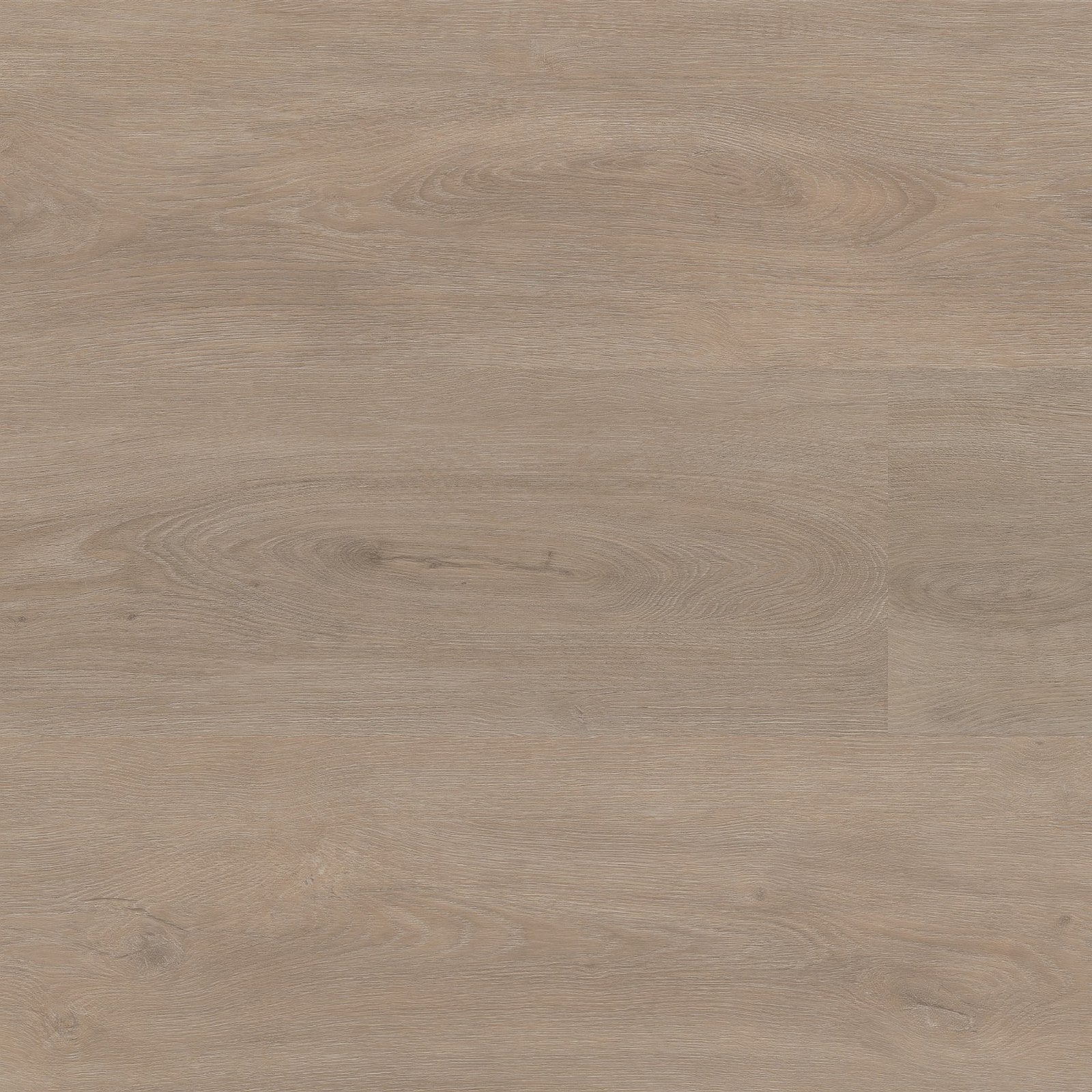 Robusto dryback light oak