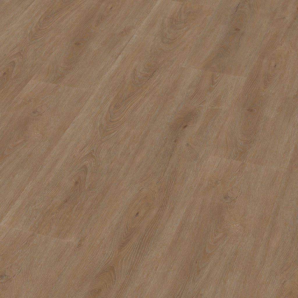 Robusto dryback dark oak 3D
