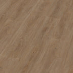 Robusto dryback dark oak 3D