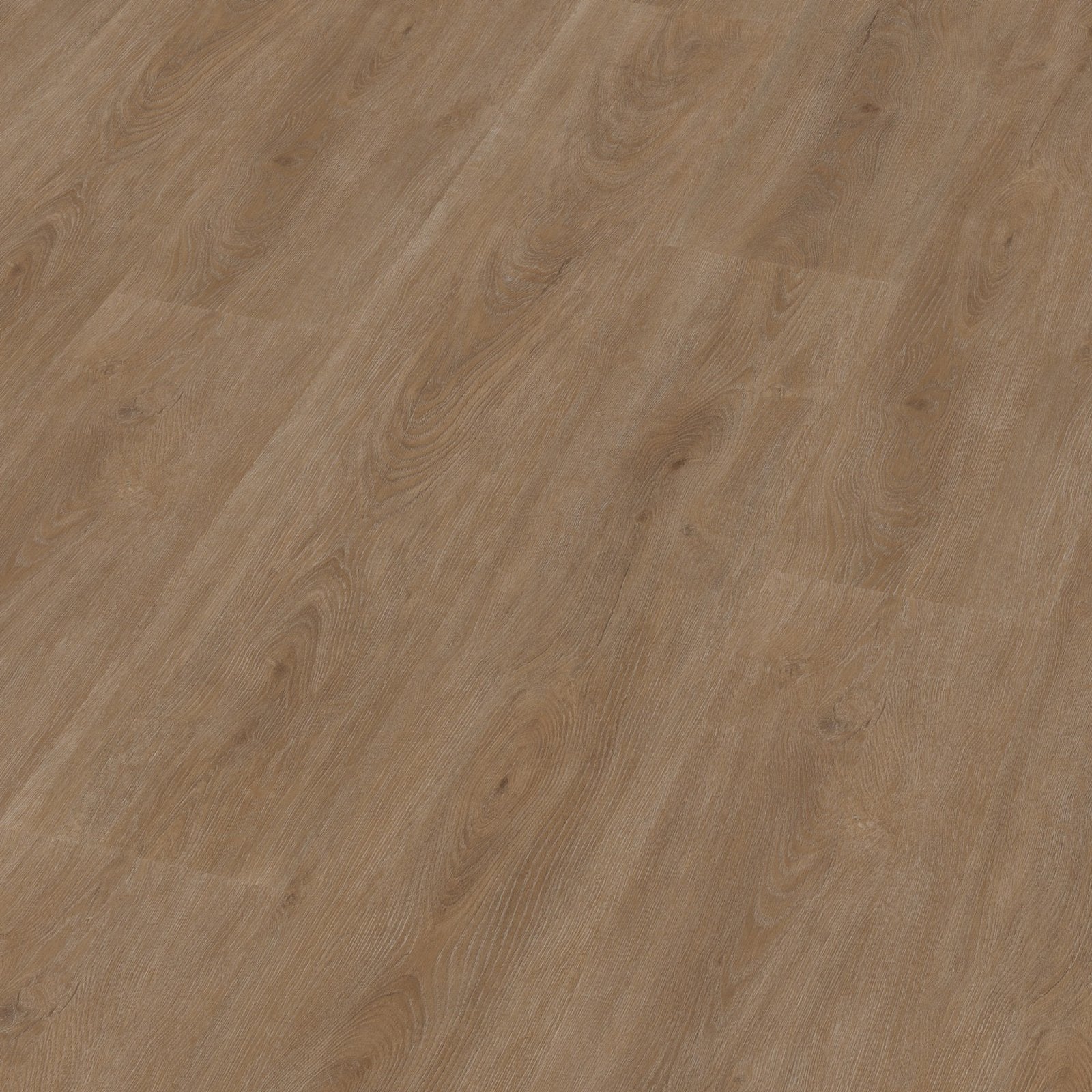 Robusto dryback dark oak 3D