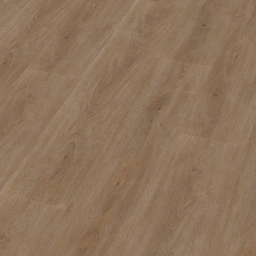 Robusto dryback dark oak 3D