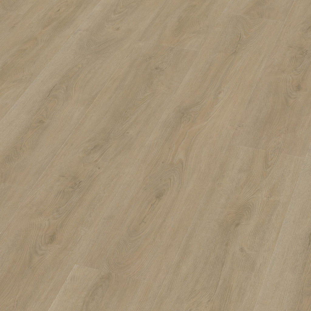 Robusto dryback beige 3D