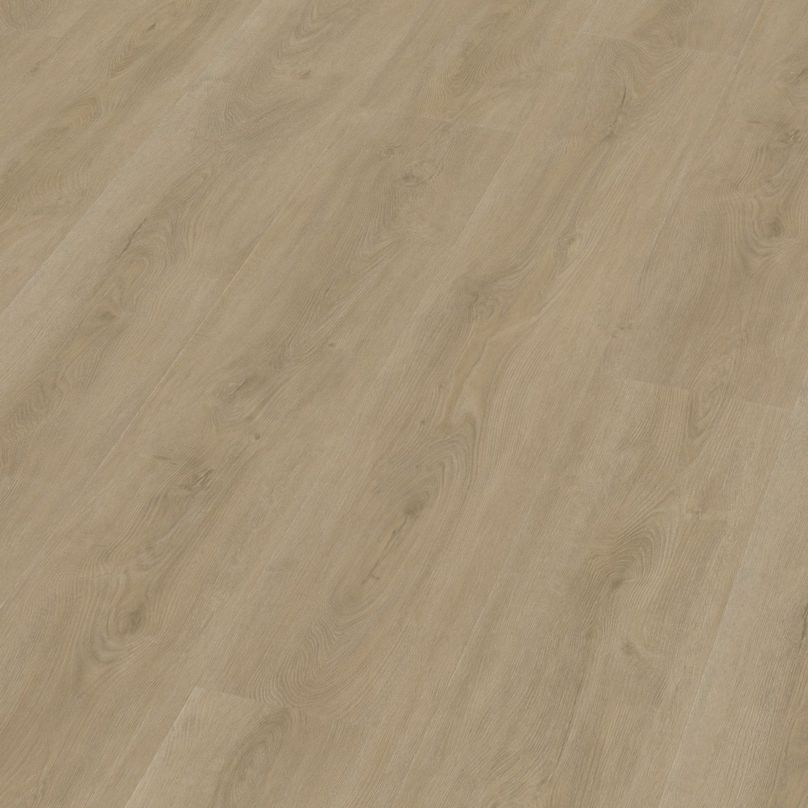 Robusto dryback beige 3D