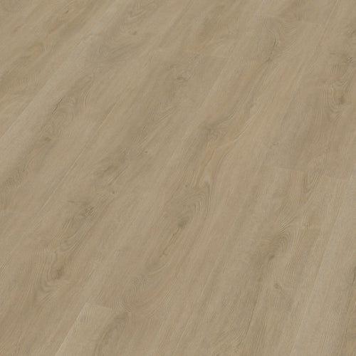 Robusto dryback beige 3D
