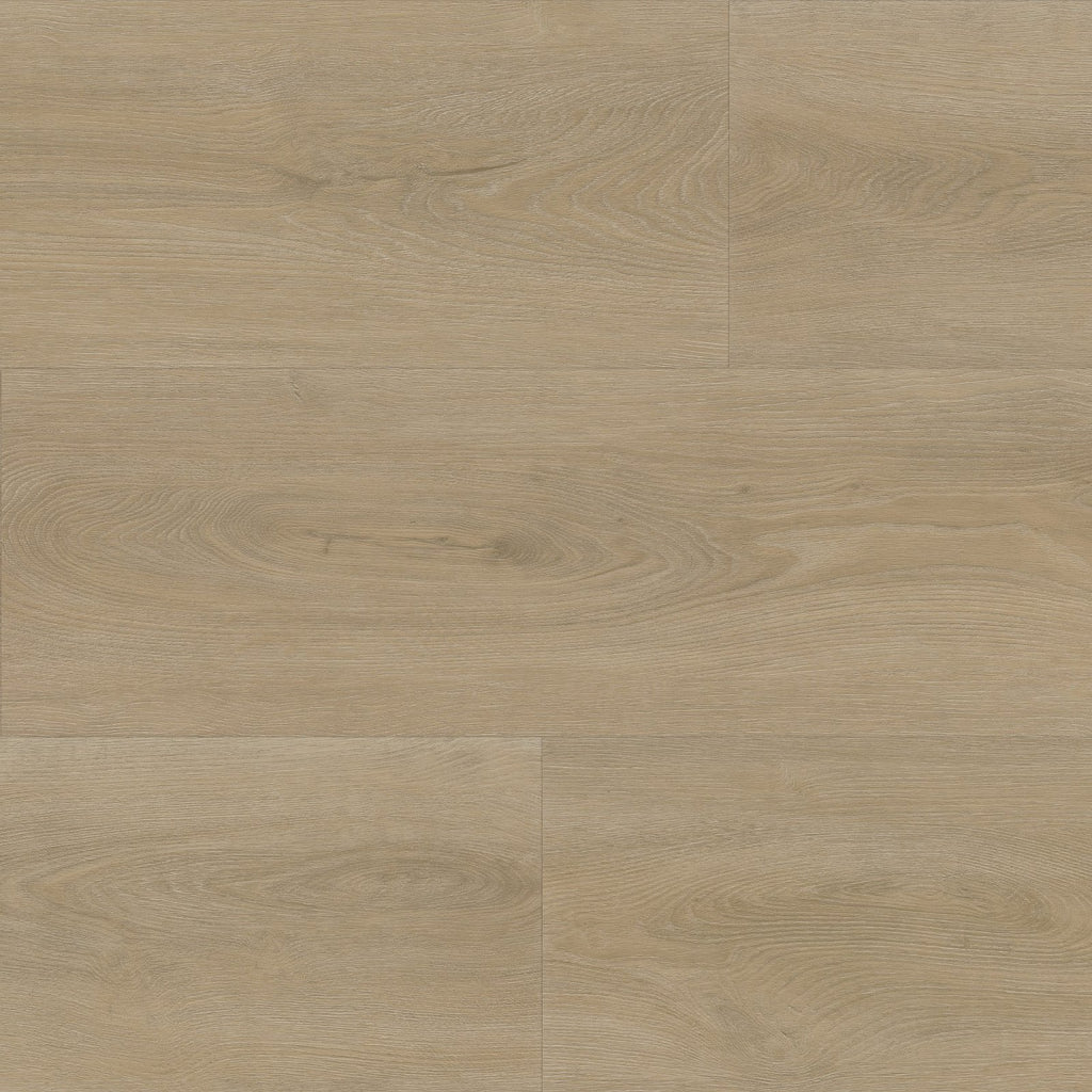 Robusto dryback beige