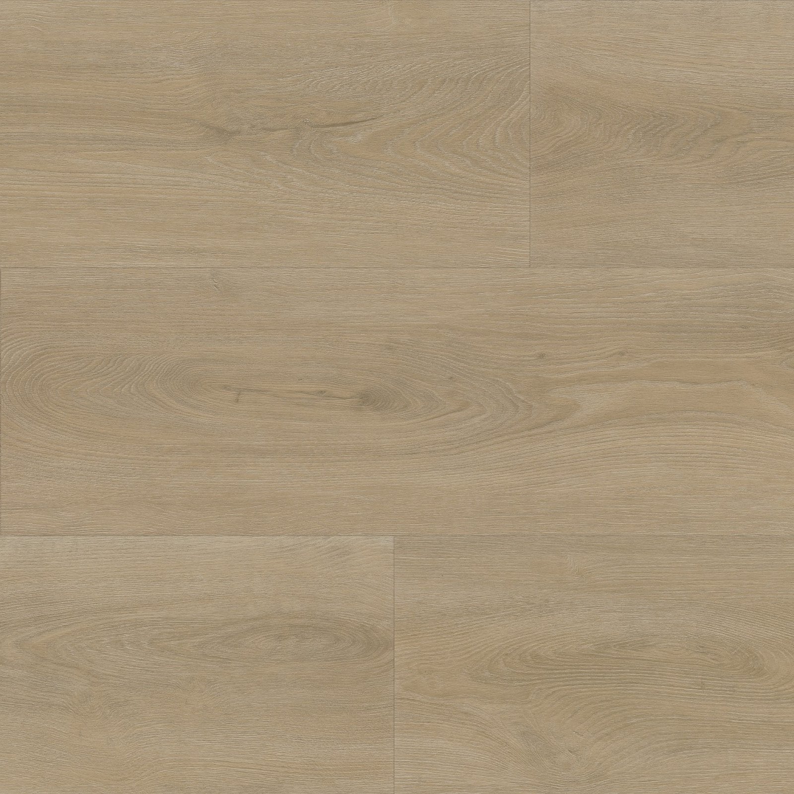 Robusto dryback beige