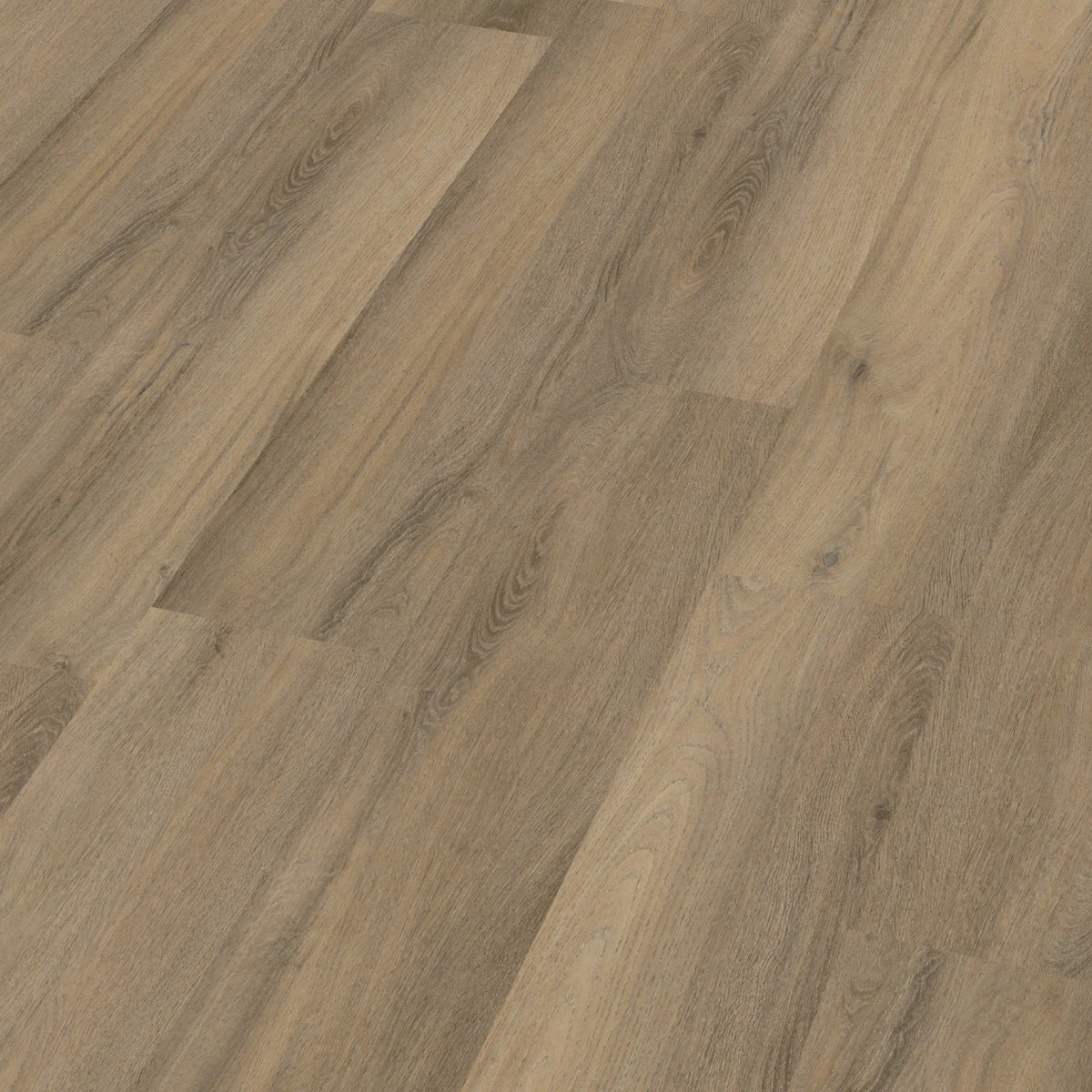 Avanto dryback smoky 3D