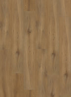 Gelasta Callisto 4100 (dryback)