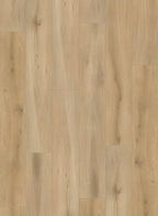 Gelasta Callisto 4101 (dryback)