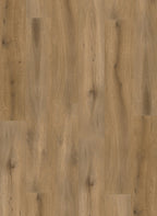Gelasta Callisto 4102 (dryback)