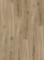 Gelasta Callisto 4103 (dryback)