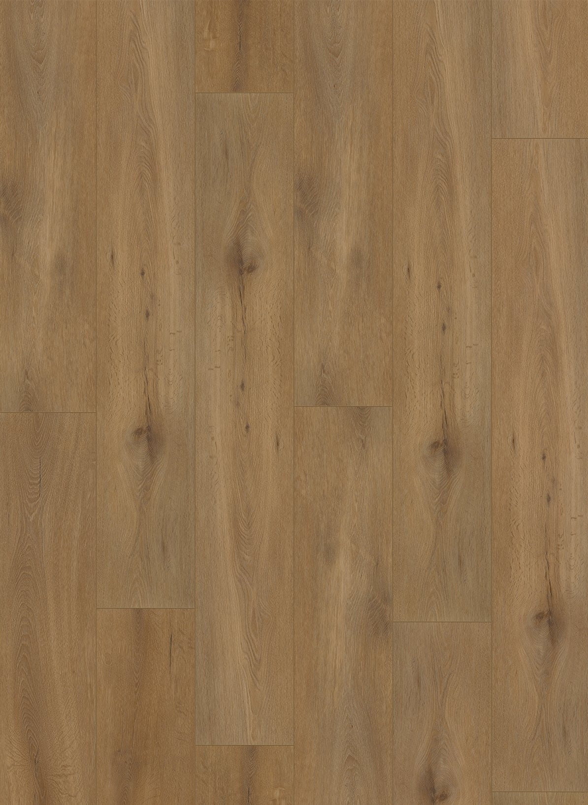 Gelasta Callisto 5100 (rigid click)