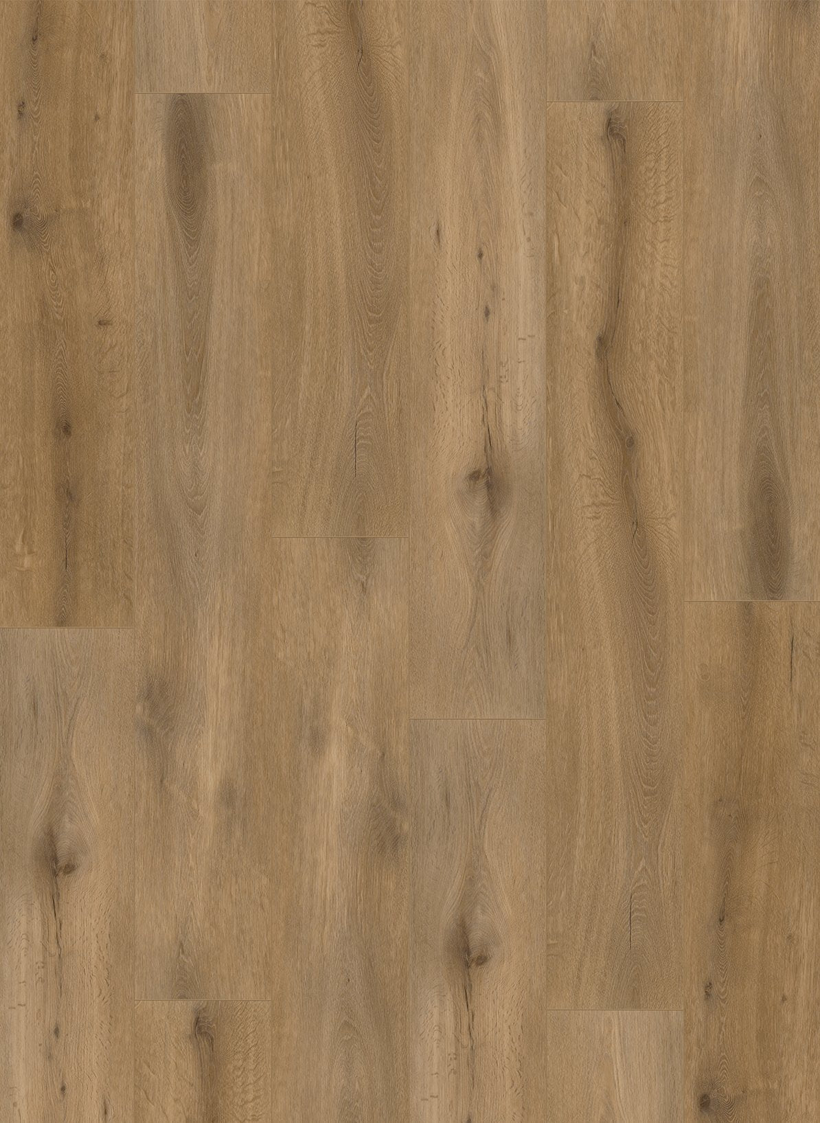 Gelasta Callisto 5102 (rigid click)