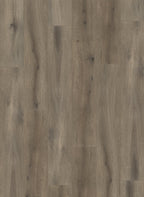 Gelasta Callisto 5105 (rigid click)