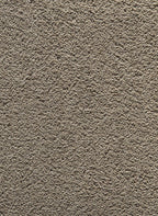 Gelasta Castana 49