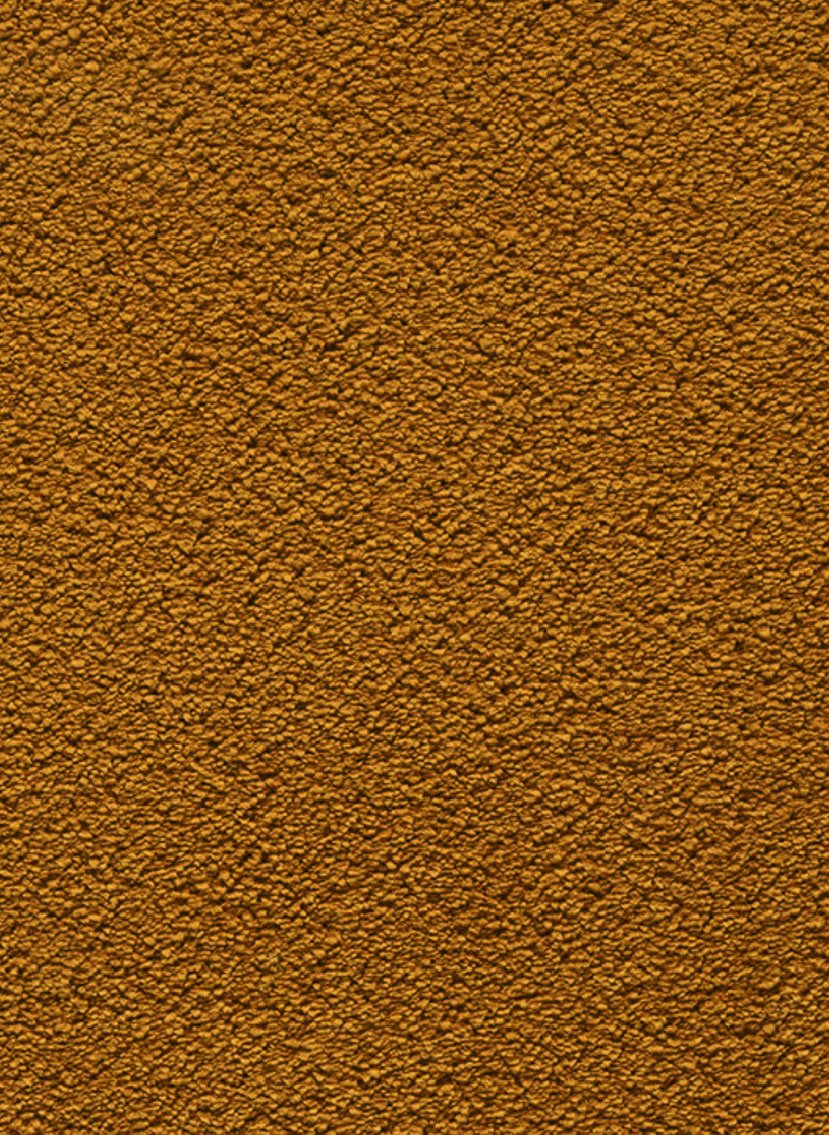 Gelasta Castana 55