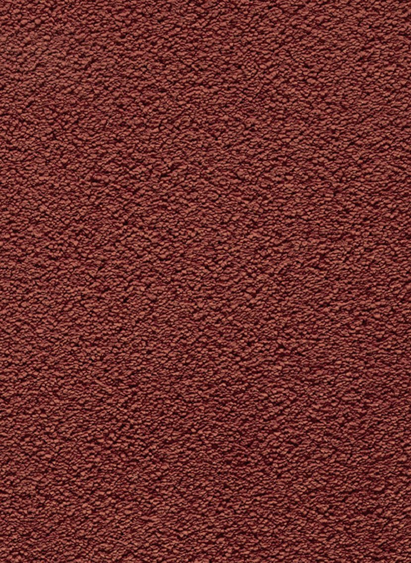 Gelasta Castana 60