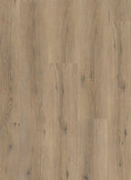 Gelasta City 4600 (dryback)