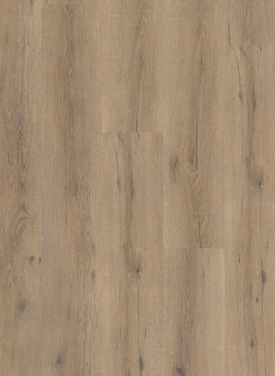 Gelasta City 4600 (dryback)