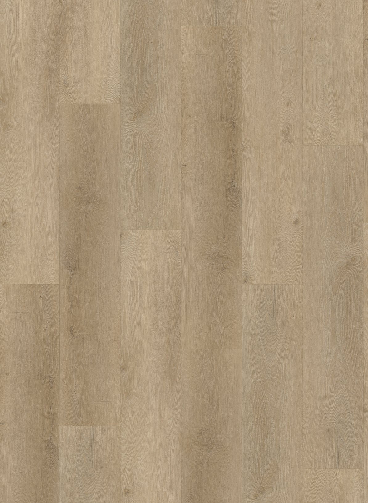 Gelasta Country 4302