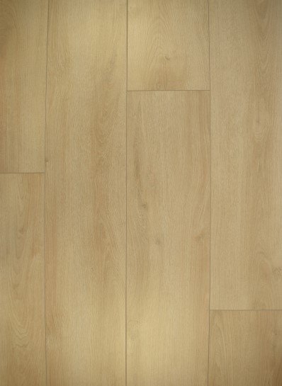 Gelasta Falco 3902