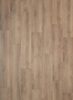 Gelasta Falco 3903