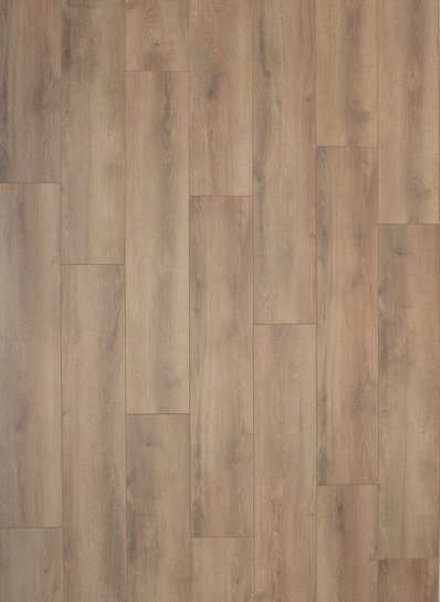 Gelasta Falco 3903