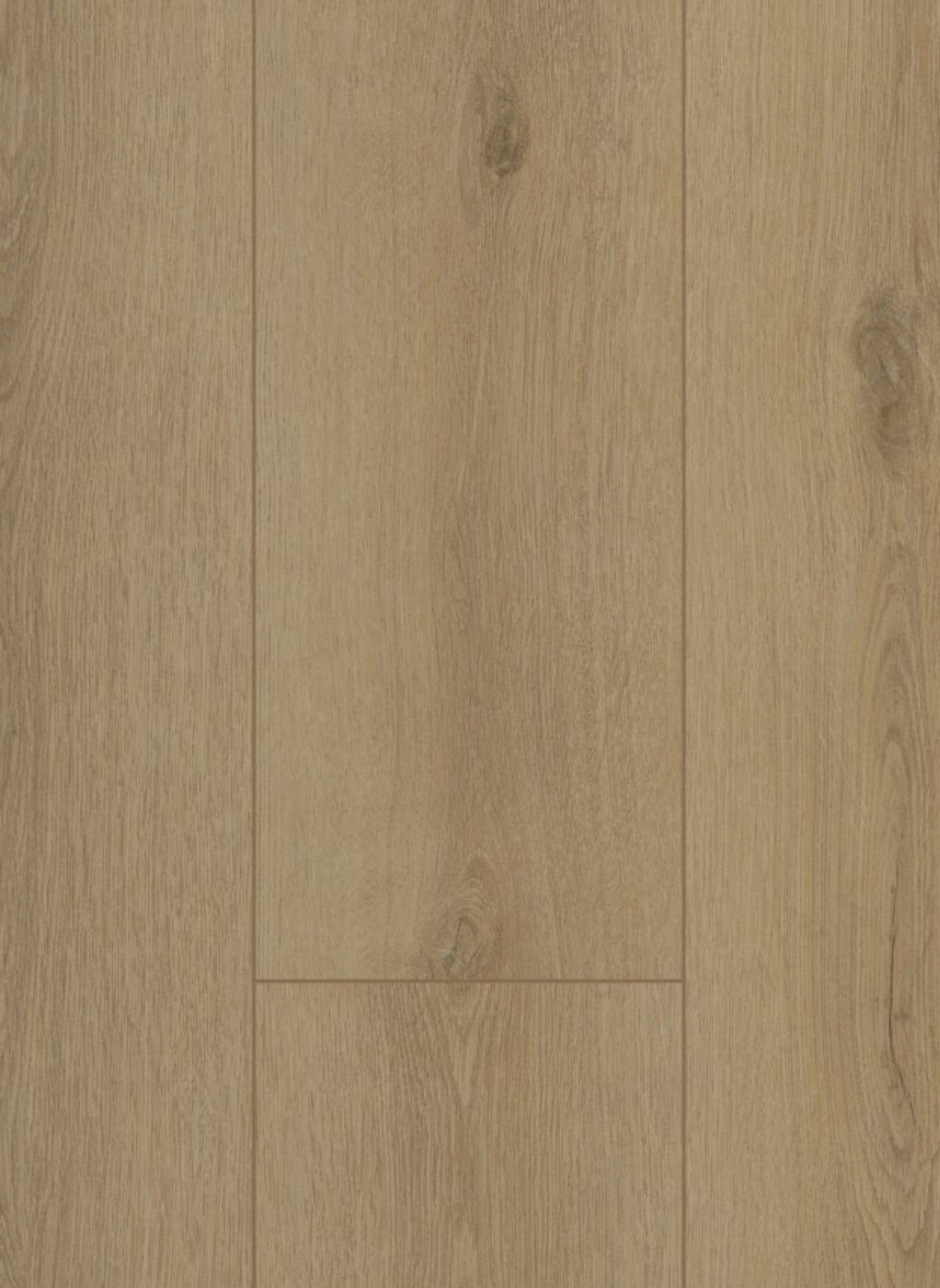 Gelasta Firmfit 6501 (dryback)