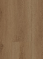 Gelasta Firmfit 6700 (dryback)