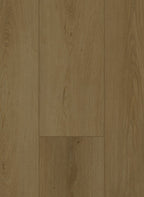 Gelasta Firmfit 6702 (dryback)
