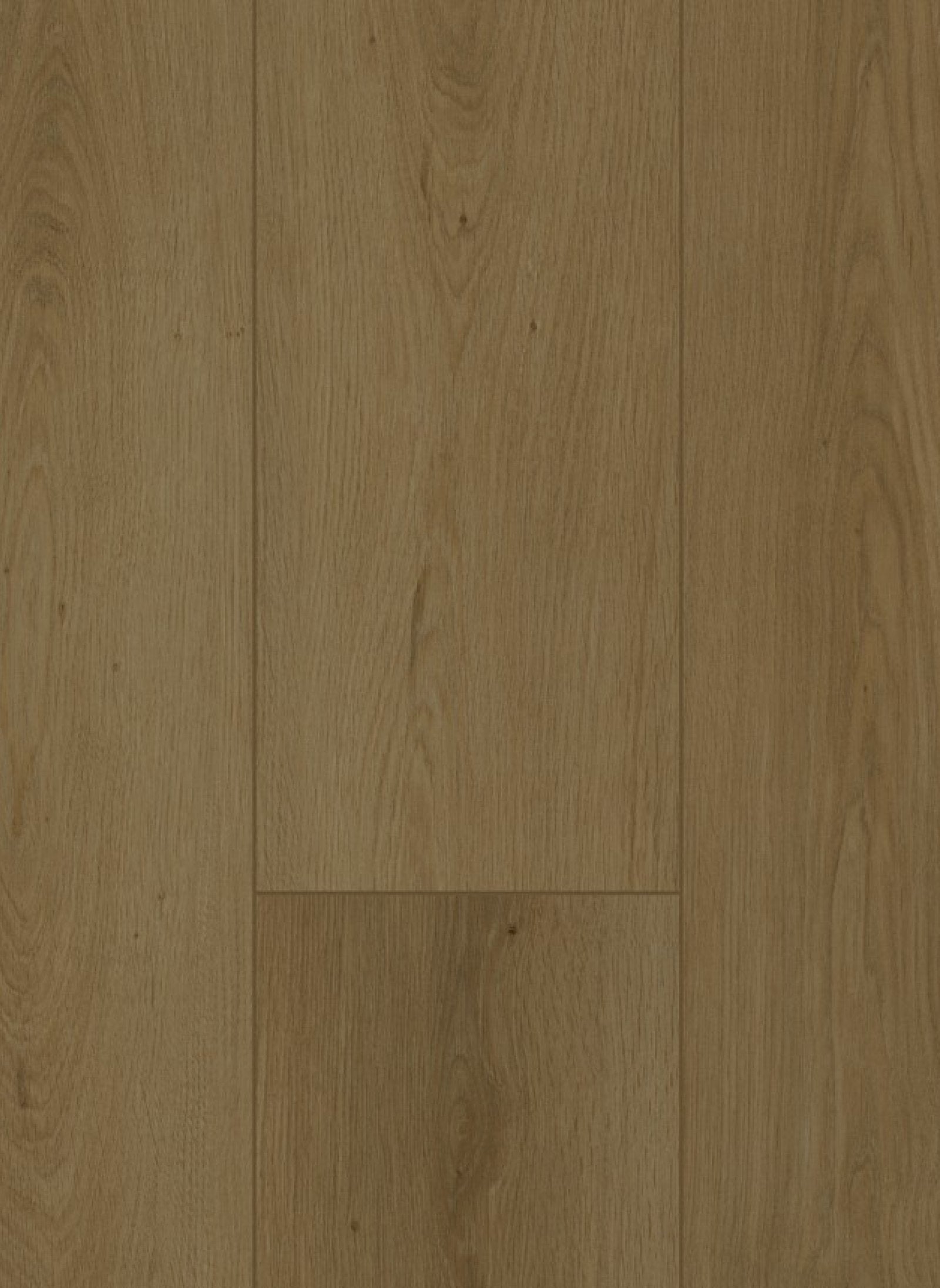 Gelasta Firmfit 6702 (dryback)