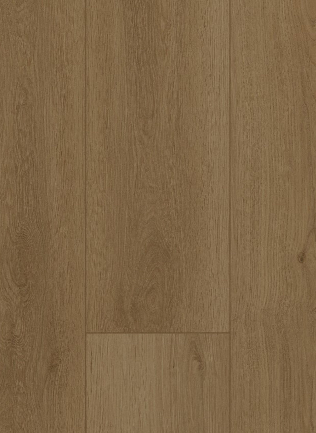 Gelasta Firmfit 6703 (dryback)