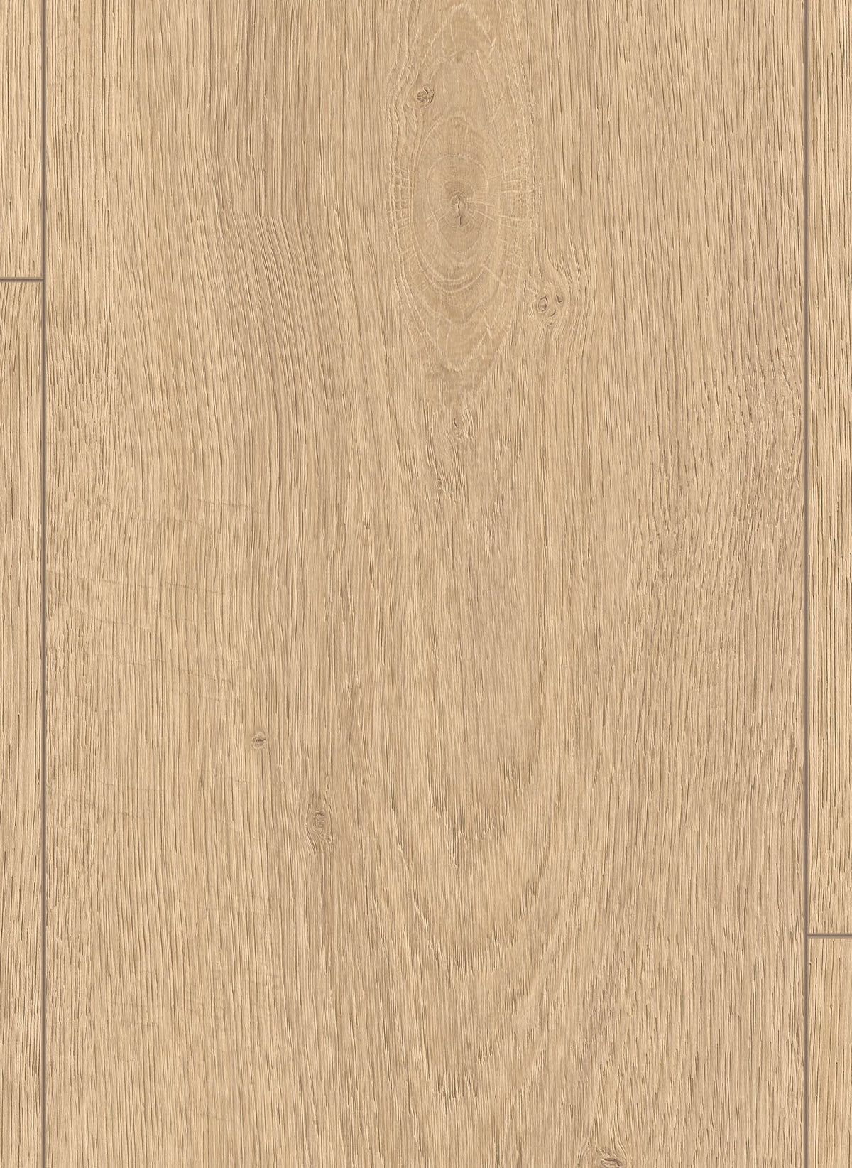 Gelasta Lion 8 mm 2027