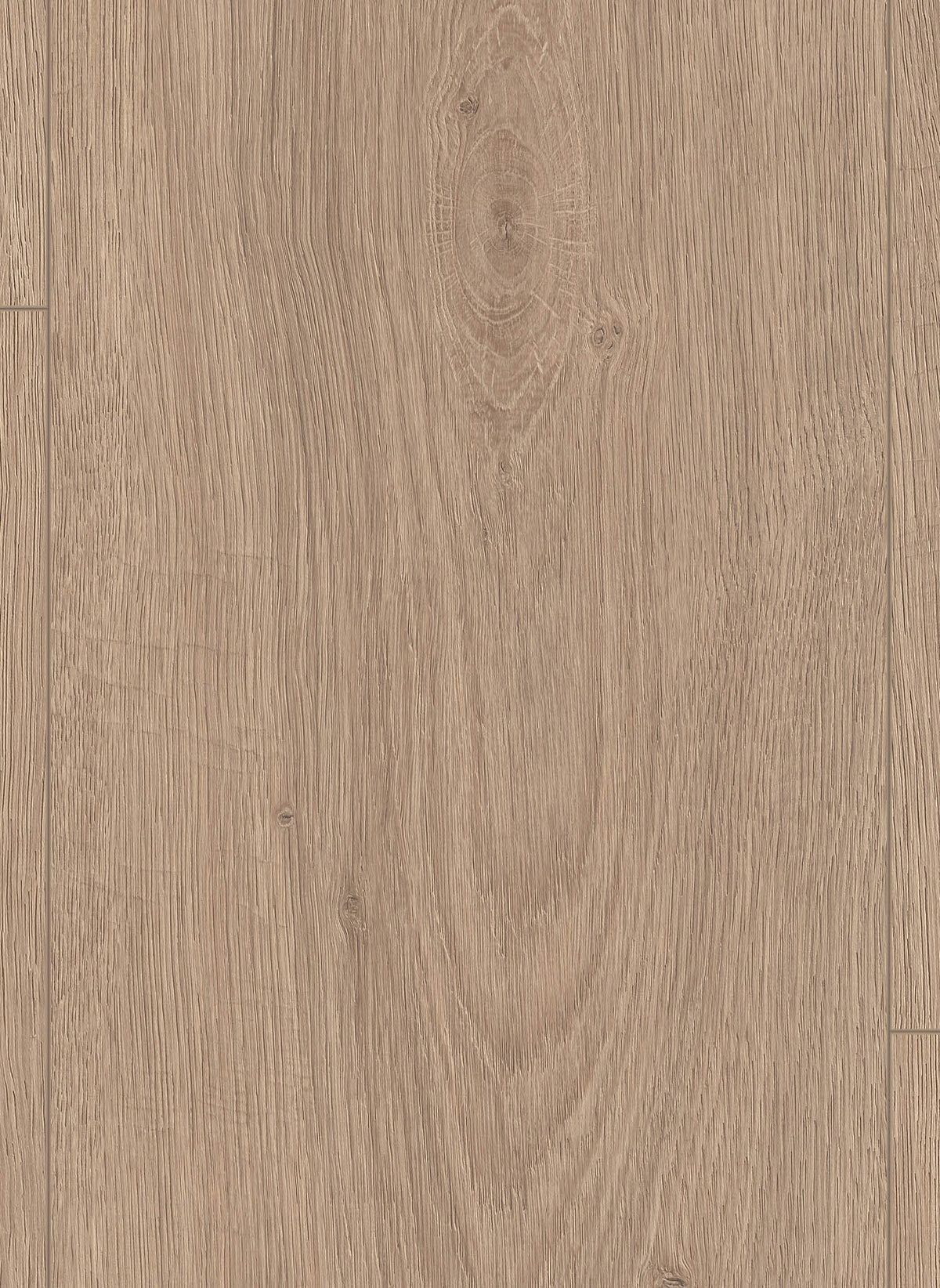 Gelasta Lion 8 mm 2029
