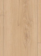 Gelasta Lion 8 mm 2113